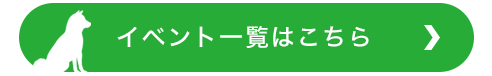 イベント情報