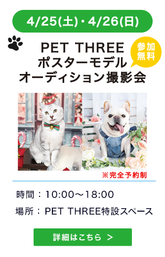 PET THREEポスターモデルオーディション撮影会
