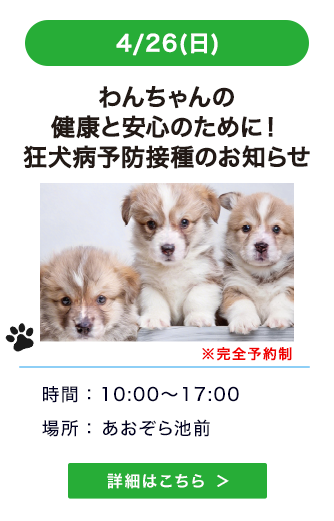 わんちゃんの健康と安心のために！狂犬病予防接種のお知らせ