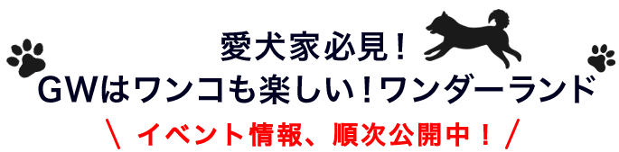 イベント情報