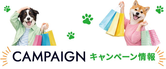 キャンペーン情報