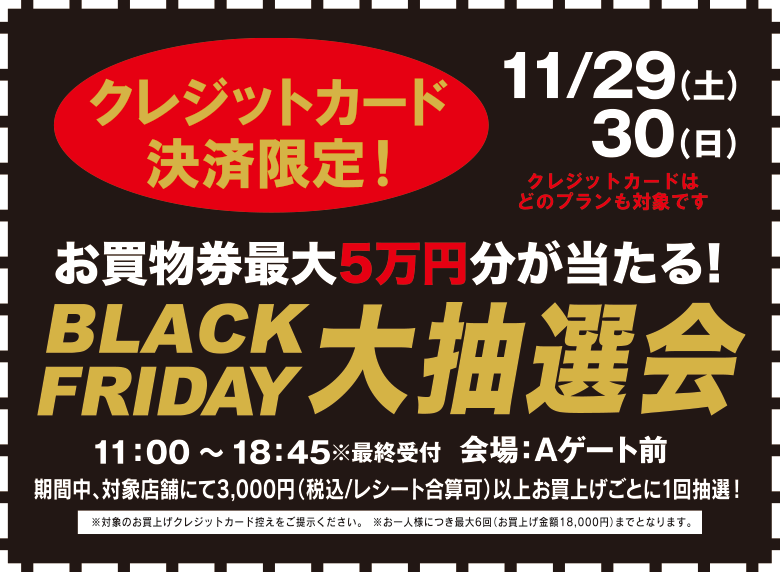 お買物券最大5万円分が当たる！black friday大抽選会