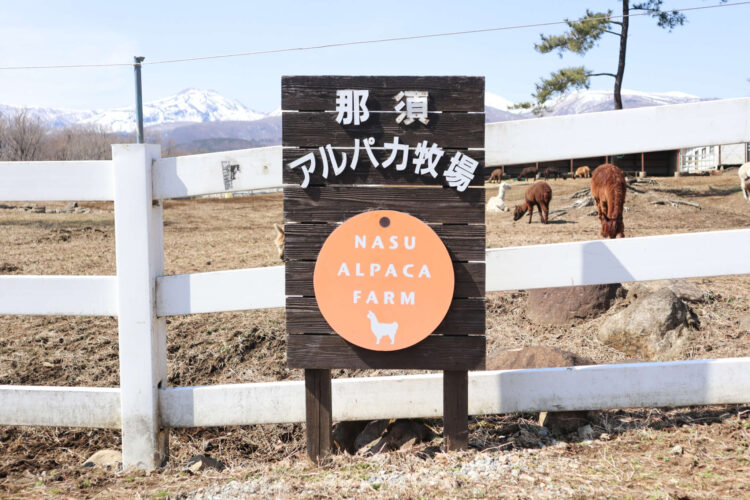 那須アルパカ牧場