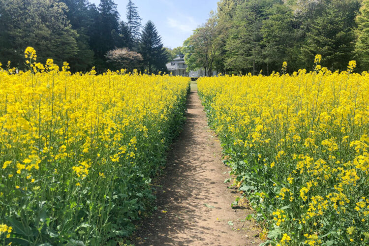 道の駅「明治の森・黒磯」