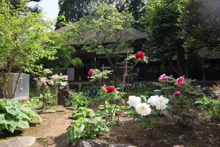 黒羽山　大雄寺