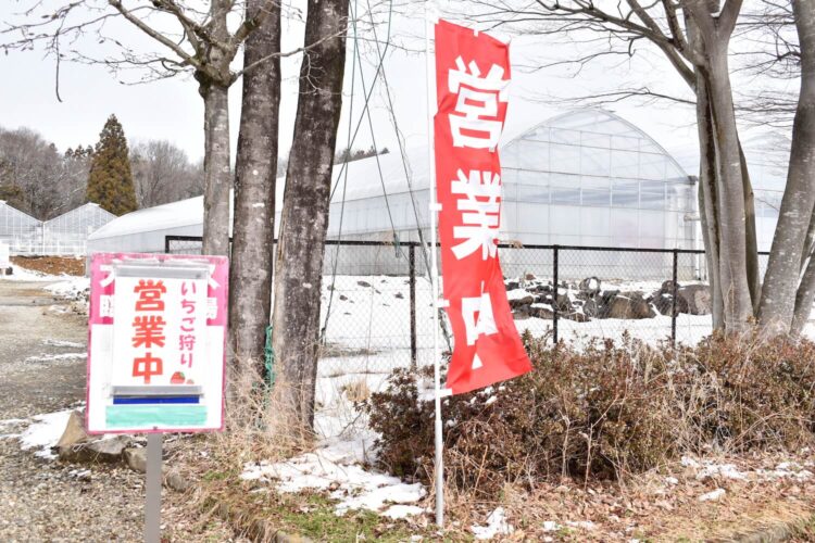 那須高原農園いちごの森