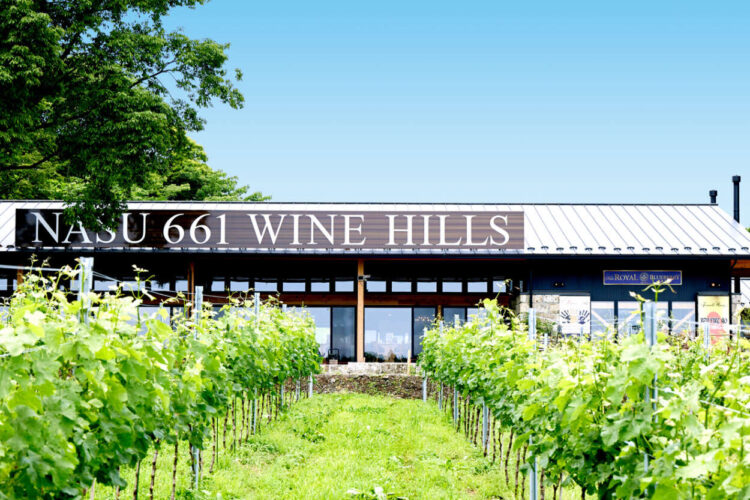 NASU 661 WINE HILLS