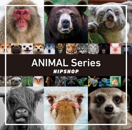 HIPSHOP 人気”ANIMAL Series”が再入荷