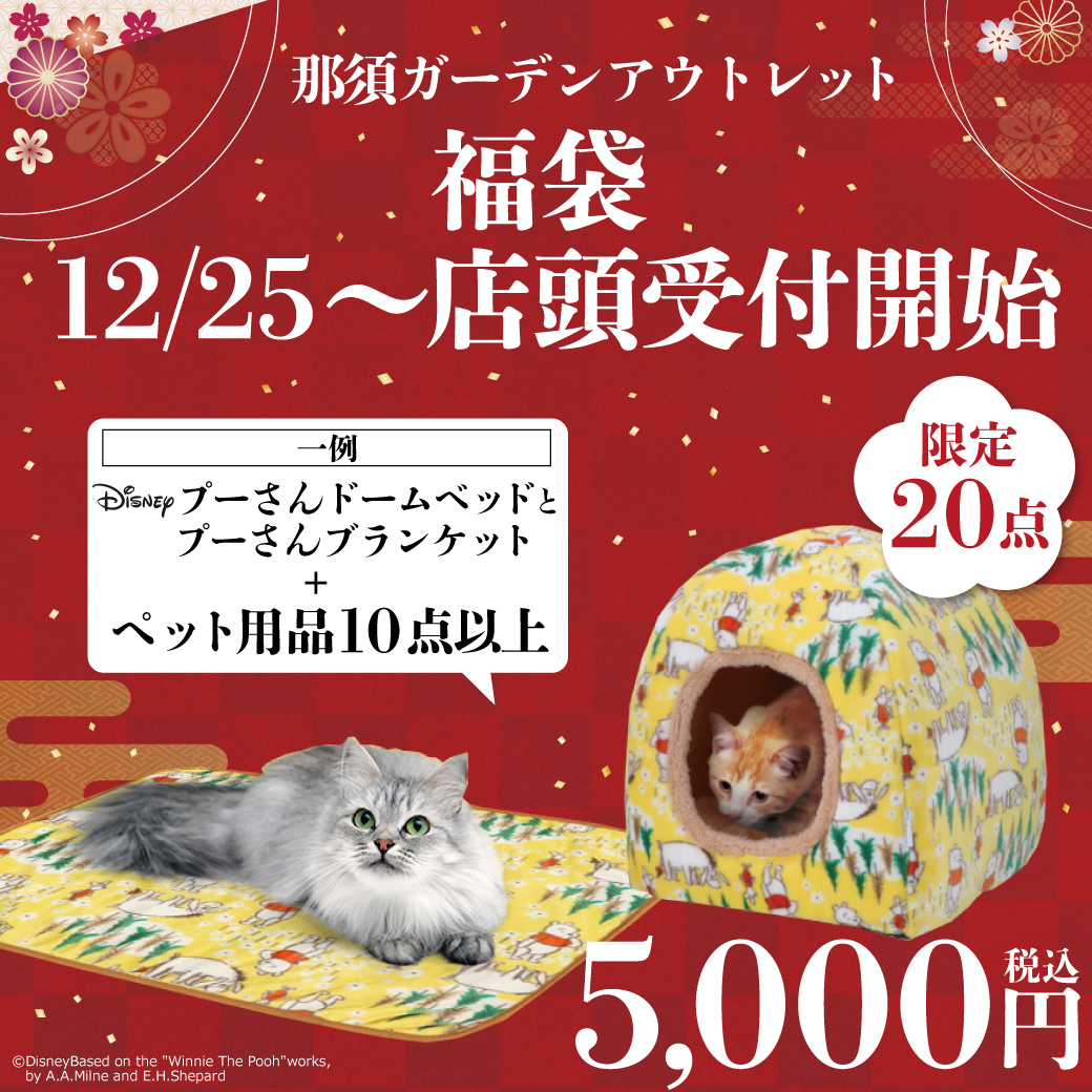 ☆初売り＆福袋のご案内☆｜ペットスリー｜ショップニュース｜那須