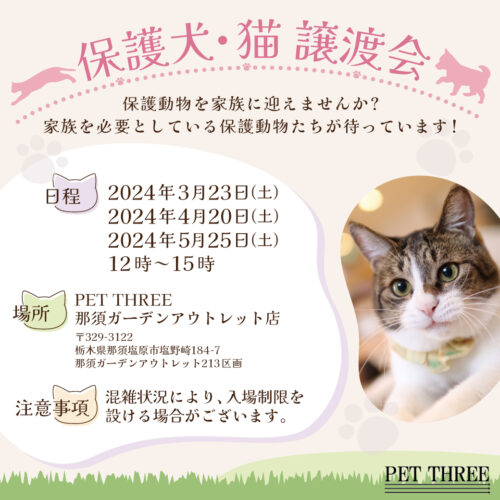 ☆保護猫譲渡会開催☆