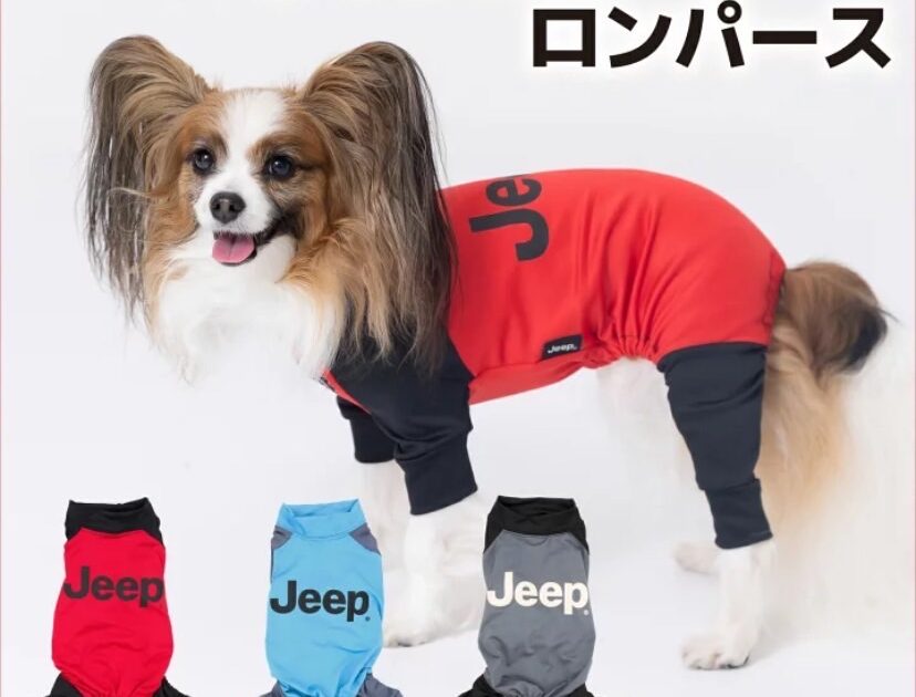 ♡Jeepラッシュガード新色入荷♡｜ペットスリー｜ショップニュース