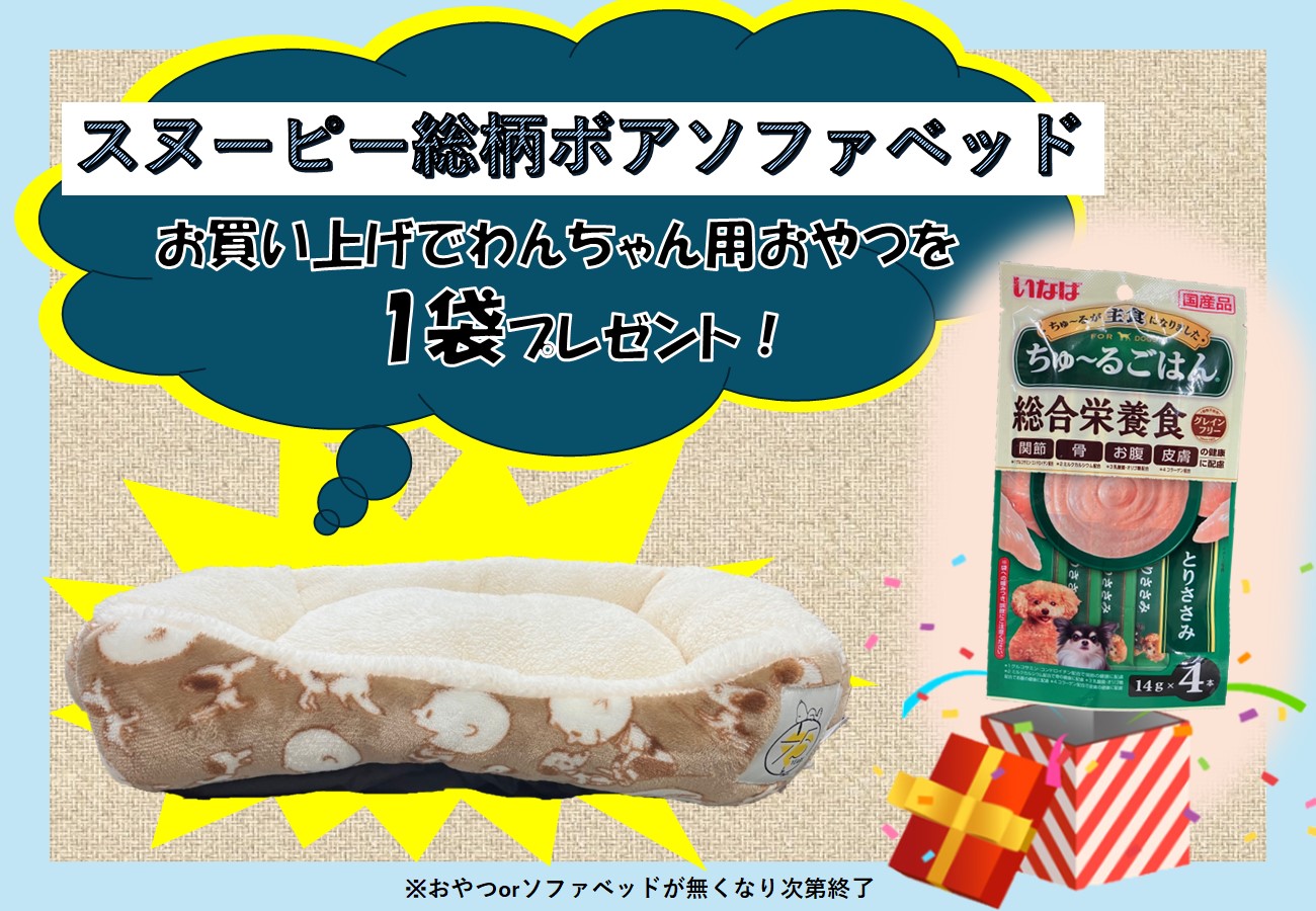 無くなり次第終了！】わんちゃん用おやつプレゼントキャンペーン  