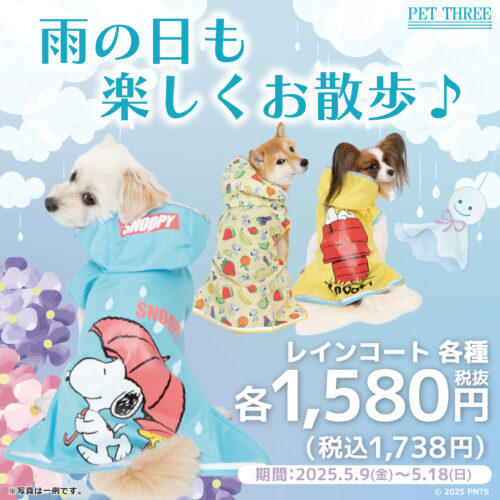 🌂レインコートセール開催🐌