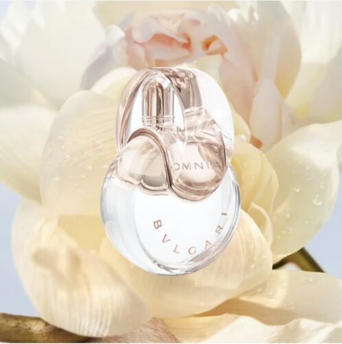 OMNIA CRYSTALLINE再入荷！