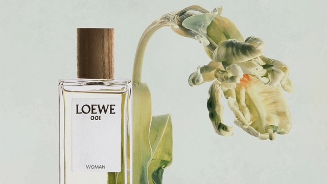 LOEWE　入荷
