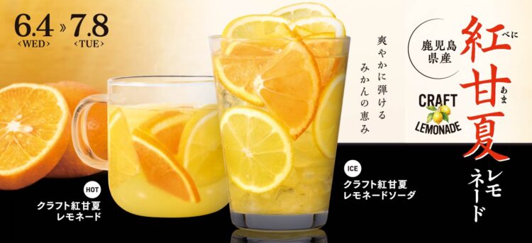 大人気クラフトレモネードシリーズに新商品登場！！