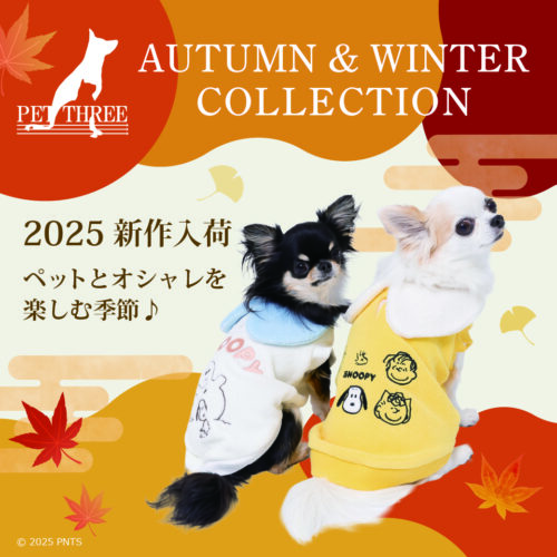 🍂✨ 犬猫用 秋冬ウェア 新作入荷！ ✨🍂