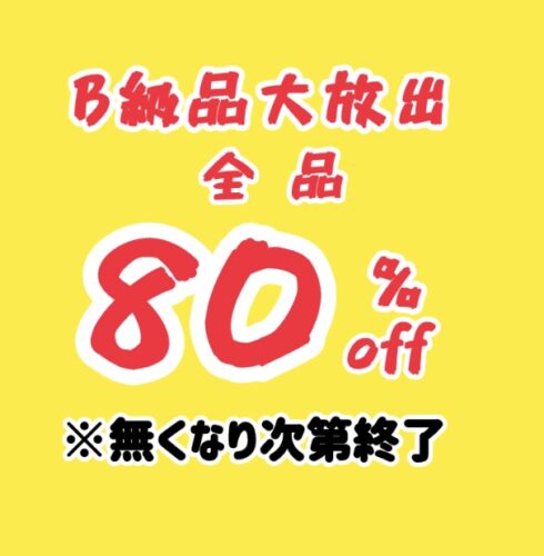B級品 80%OFF!〜10/31まで