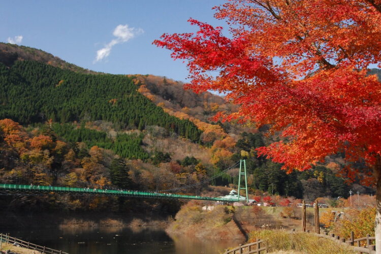 もみじ谷大吊橋