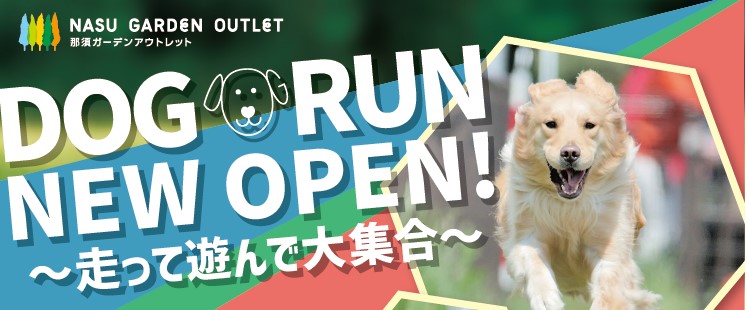 DOG RUN OPEN＆ハロウィンデコレーション