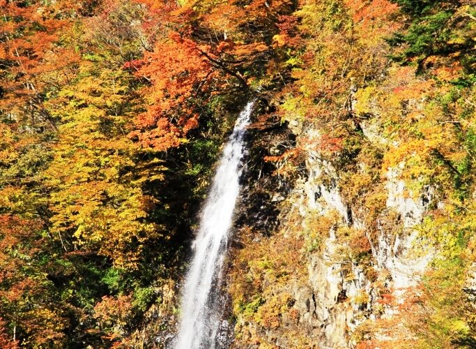 回顧の吊り橋・回顧の滝
