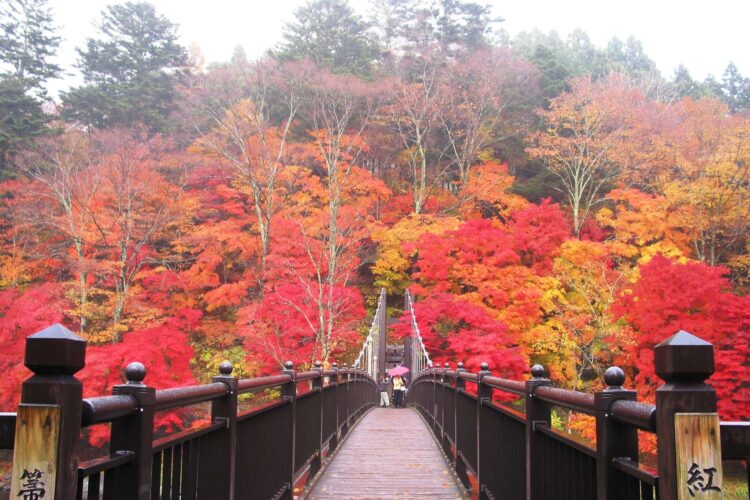 紅の吊橋