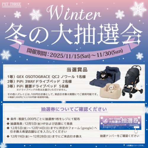 ⛄冬の大抽選会開催🎅