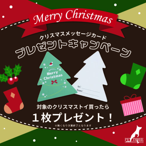 🎄クリスマスカードプレゼントキャンペーン🎄