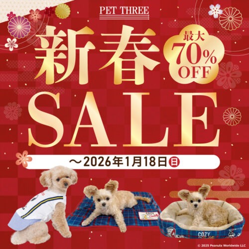 🐶新春セール🎍