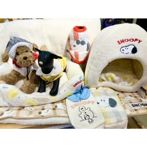 ✨クリアランスセール開催✨