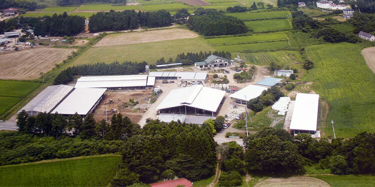 今年のバレンタインはチーズに決まり！那須高原今牧場「ハート型チーズ」