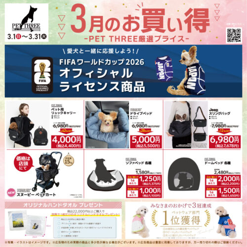 🐱3月お買い得情報🌸