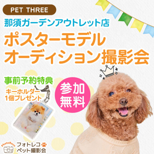 📸【4/25、4/26】ポスターモデルオーディション開催!