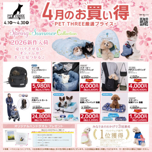 ✨🌸4/1(水)〜4/30(木)限定!|4月のお買い得スタート! 🌸✨