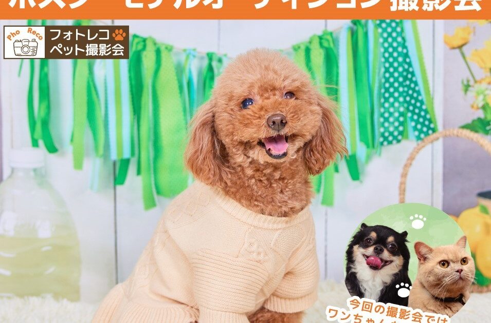 フォトコレ🐾ペット撮影会｜イベント・ニュース｜那須ガーデンアウトレット