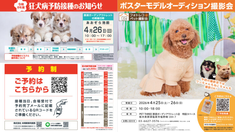 フォトコレ🐾ペット撮影会