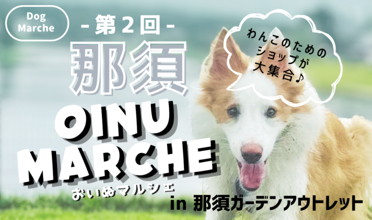 OINU MARCHE ～愛犬と一緒に楽しむマルシェ～　第2回