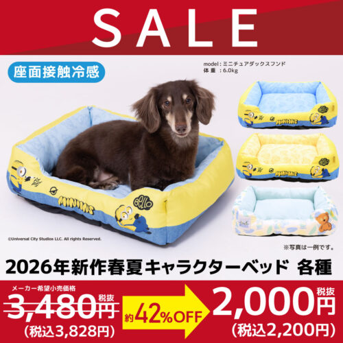🎉🐶アウトレットSPECIALDAYSセール開催🐕🎉