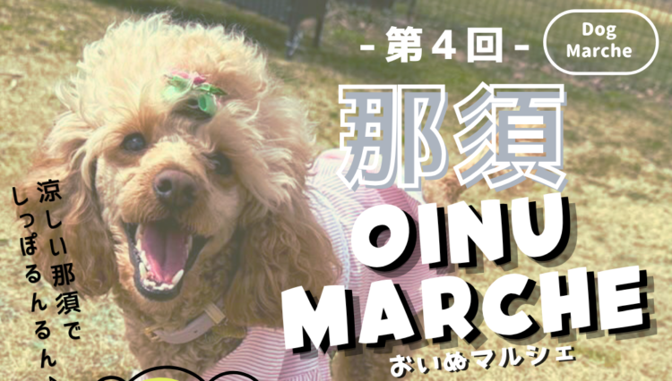 OINU MARCHE ～愛犬と一緒に楽しむマルシェ～　第4回