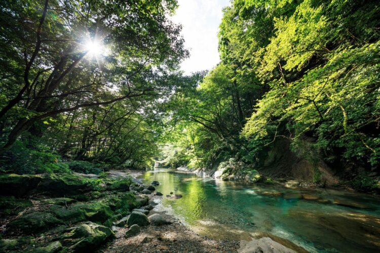 木の俣渓谷