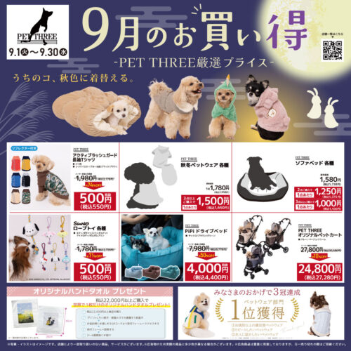 🍁9月のお買い得情報！秋のペットウェアが続々登場🐶🐱