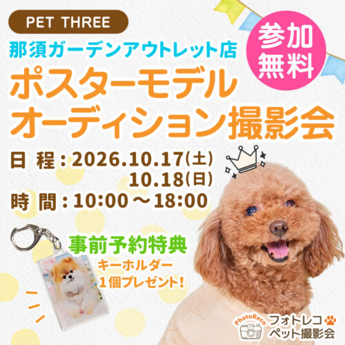📸ポスター撮影会開催🐶🐱