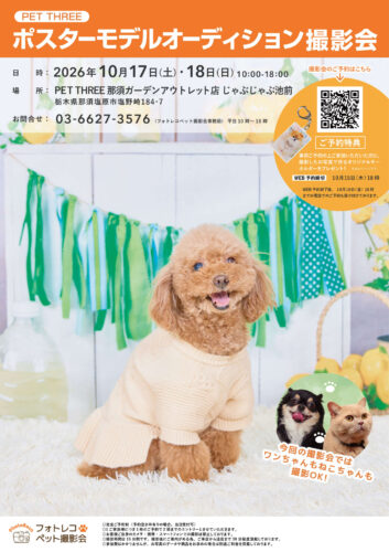 【10/17(土)・18(日)】PET THREE ポスターモデルオーディション撮影会