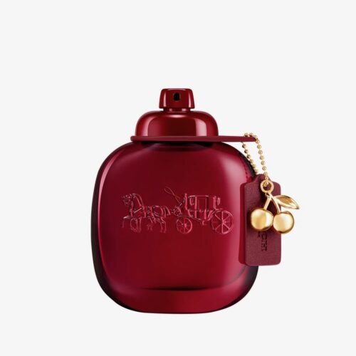 COACH新作入荷